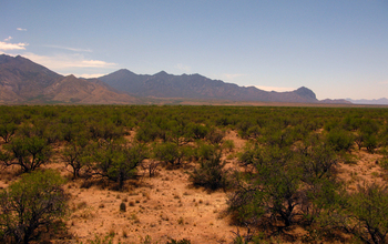 Santa Rita Experimental Range, outside Tuscon, Arizona