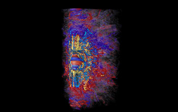 Magnetic field built up by dynamo action in core of a rapidly rotating, collapsed star