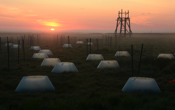 Early morning at the Tutakoke River field camp