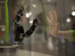 Human hand held up to a plate of glass, with a robotic hand mirroring the same gesture on the other side of the glass