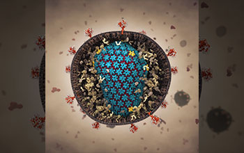 HIV capsid interacting with its environment