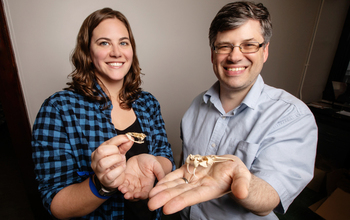 Postdoctoral researcher Stephanie Crofts and animal biology professor Philip Anderson