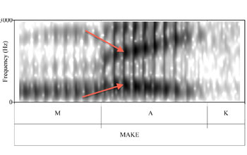 graphic representation showing multiple bars marking the vocal progression of a speaker