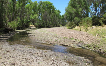 The San Pedro River looks much different when water courses through it.