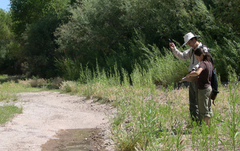 Citizen scientists record the end of a wet section of the San Pedro River.