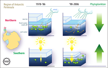 Multimedia Gallery  Climate Change Affects Food Chain  NSF  National