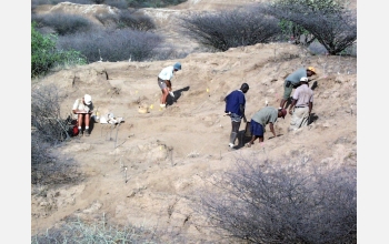 Re-excavation of the Omo 1 site by the research team.