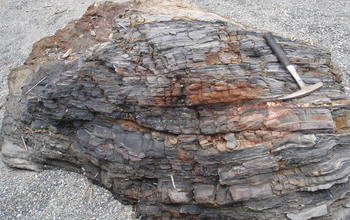 Marine rocks from northern California.