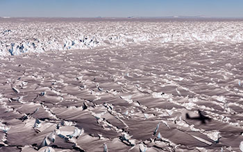 Aerial veiw showing heavily crevassed surface of Pine Island Glacier ice shelf