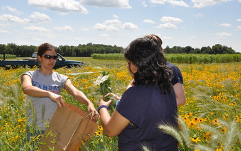 Three students collecting plant biomass samples in the field