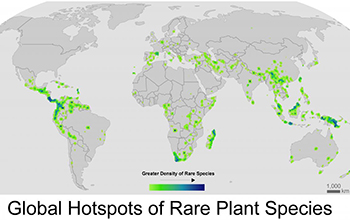 global hotspots of rare plant species