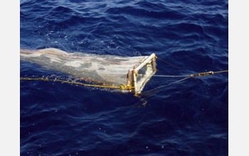 Photo of the surface plankton net used to sample marine organisms and plastic debris.