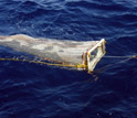 Photo of the surface plankton net used to sample marine organisms and plastic debris.