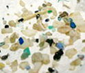 Photo showing discarded bits of floating plastic brought up by a net-tow.