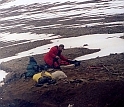 Remains of the juvenile plesiosaur were exacavated from this Vega Island excavation site.