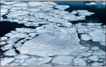 Photo of rounded pieces of Arctic ice.