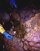 hand collecting samples from a toxic drainage deep in the mine
