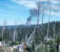 Forest fires contribute to air pollution