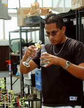 Baudelio De Santiago mixing biological control agents
