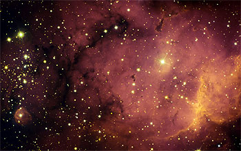 Stellar Nursery