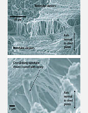 micrograph of nanotube damping material