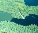 a lake with largemouth bass on right and without largemouth bass on left.