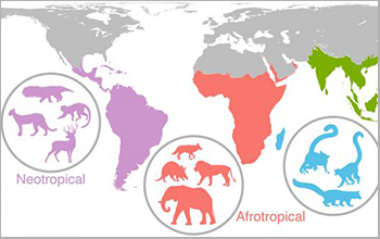 prehistoric past to the global future