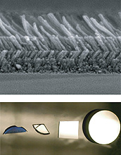 Layers of silica nanorods look like shag carpet when viewed with a scanning electron microscope.