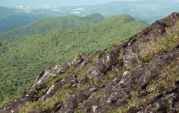 Phot of the mountain peak El Yunque