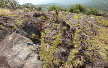 Baren rock on  El Yunque