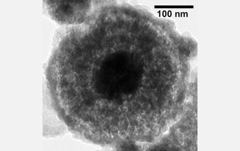 Transmission electron micrograph showing nanoparticles from the Pacific's Kilo Moana vent.
