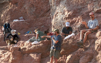The field team excavates the first major quarry platform on the cliff where the fossil was found.