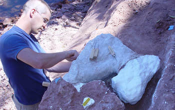Ohio University researcher Tobin Hieronymus excavates part of the dinosaur skeleton.