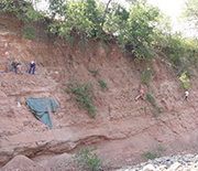 Climbing ropes were essential components of the field seasons in which the fossil was collected.