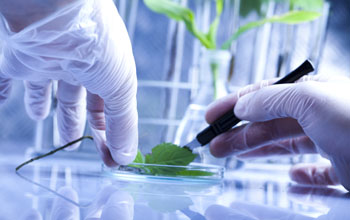 Photo of gloved hands working in a lab.