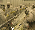 Photo of Princeton Physics Department in a clean room.