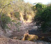 A view along the river in Tanzania where scientists have conducted research since 2002.