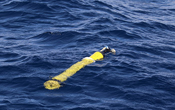 Robotic floats could provide important insights into ocean primary productivity. 