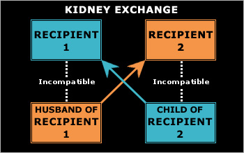 Diagram of an exchange performed because of blood type incompatibility.