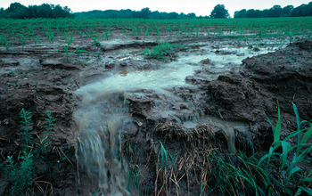 Fertilizer runoff from a farm; such runoff can lead to algae blooms in waterways downstream.