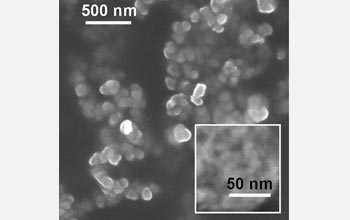 Electron microscope image of luminescent porous silicon nanoparticles.