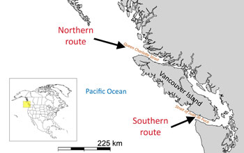 Map showing Vancouver and Pacific ocean and arrows indicating southern and northern route of salmon
