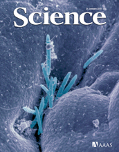 Cover of the Jan. 21, 2011 issue of the journal Science.
