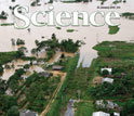 Cover of the January 22, 2010, issue of the journal Science.