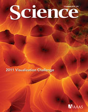 February 3, 2012 Science cover.