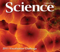 February 3, 2012 Science cover.
