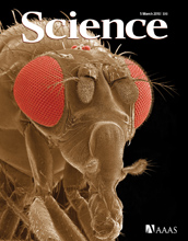 Cover of the March 5, 2010 issue of the journal Science.