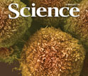 Cover of the March 25, 2011 issue of the journal Science.