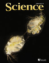 Cover of the March 30, 2012 issue of the journal Science.