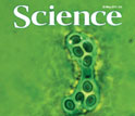 Cover of the Friday, May 20, 2011 issue of the journal Science.